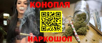 соль ск Славгород
